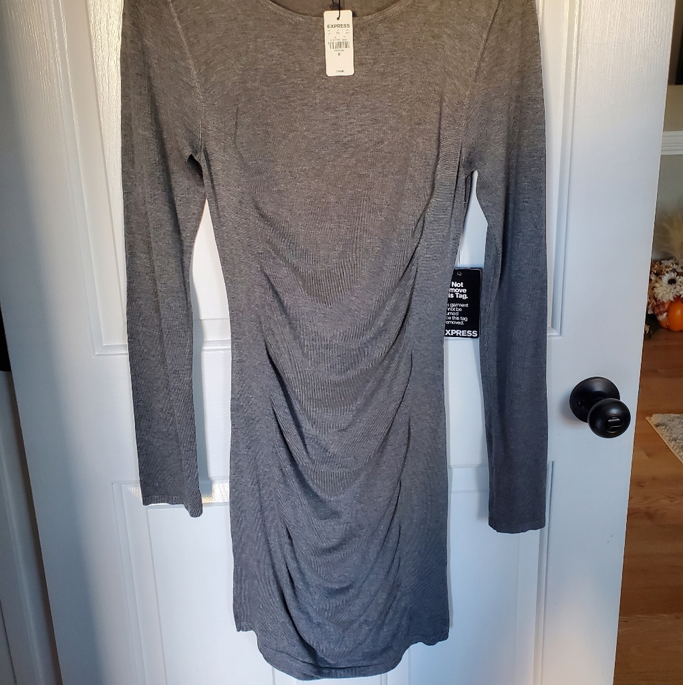 Express Fall Sweater Dress